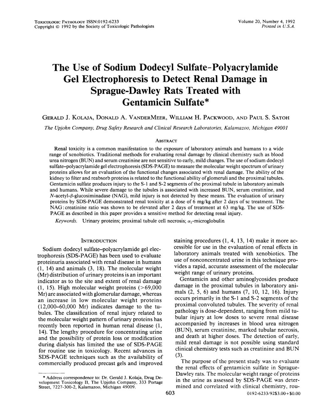 The Use of Sodium Dodecyl Sulfate-Polyacrylamide Gel Electrophoresis to Detect Renal Damage in Sprague-Dawley Rats Treated with Gentamicin Sulfate* GERALD J. KOLAJA, DONALD A. VANDERMEER, WILLIAM H.