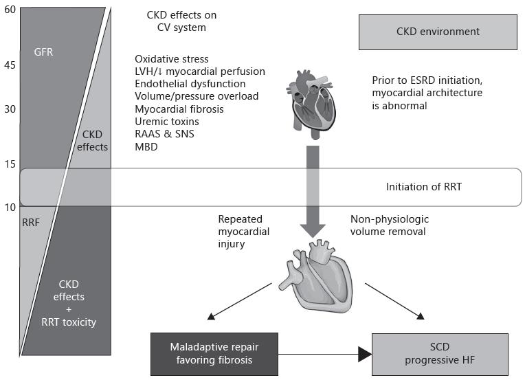 CRS Type 4 CKD is an accepted independent determinant for the progression of HF to hospitalization, pump failure death, and sudden death.