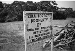 Zika Virus--History April 1947: Rockefeller Foundation jungle YF Research Program in Zika Forest, Uganda [near Entebbe]--caged rhesus monkey #766 becomes ill with a transmissible non-yf