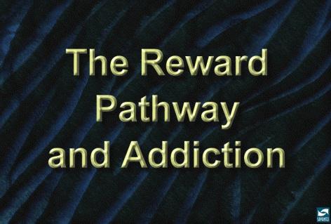 Section II: The Reward Pathway and Addiction 1: The reward pathway and addiction Introduce the concept of reward.