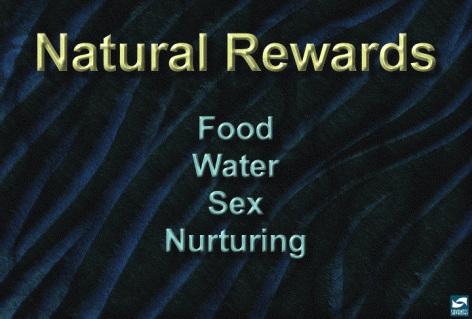 Natural rewards such as food, water, sex, and nurturing allow the organism to feel pleasure when eating, drinking, procreating, and being nurtured.