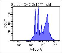 Spleen CD3/28 Day 2 [Cell] 1 x 10 7 cells/ml 1 x 10 6