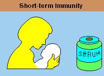 Passive Immunity Protection via transfer of antibodies or immune cells into a non-immune host, e.g.