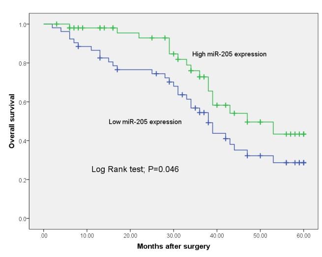 Reduced expression level of mir-205 predicts poor prognosis in osteosarcoma metastasis (P=0.003 and 0.008, respectively), and poor response to chemotherapy (both P=0.