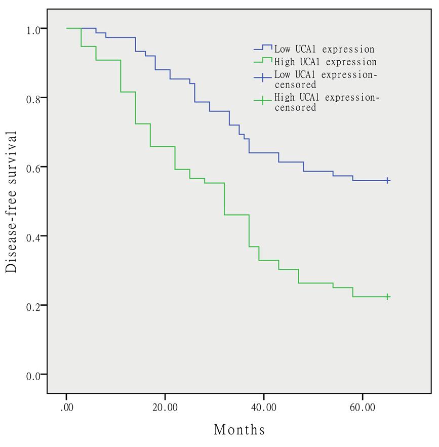 J.-J. Wen, Y.-D. Ma, G.-S. Yang, G.-M. Wang References Figure 4. Kaplan-Meier curves of the disease-free survival (DFS) of 151 osteosarcoma patients.