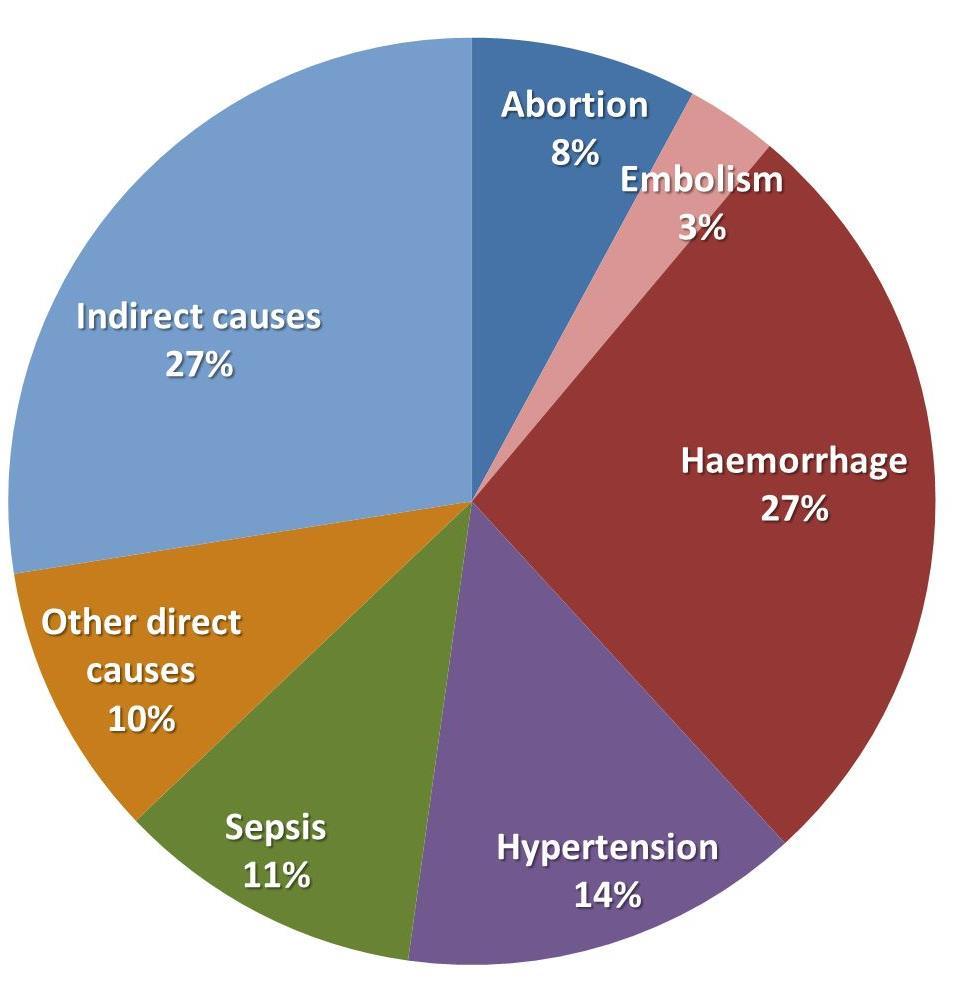 Mortality due to Preventable Causes Causes of maternal mortality Indirect causes include
