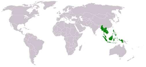 ASEAN and East Asian geopolitics Geopolitics in East and Southeast Asia The commitment of the US The (economic) influences/assistance of