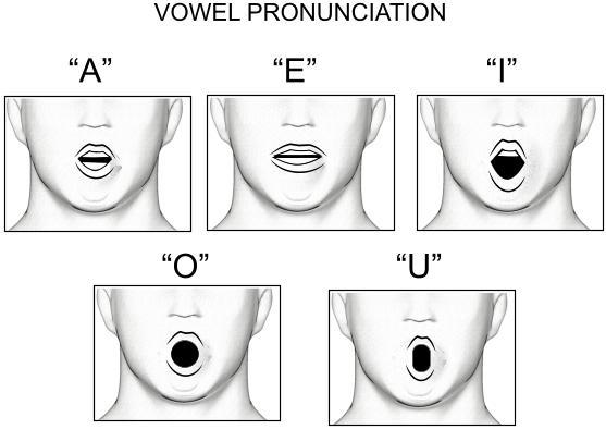 VOWEL PRONUNCIATION - best performed in front of a mirror 1. Standing in front of a mirror, begin pronouncing your vowels. 2.
