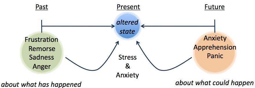STRESS WHAT IS IT? The physiology behind the human stress response is a little complicated to explain here.