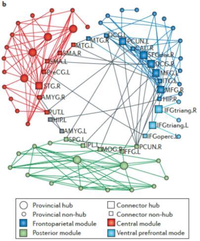 Functional networks & Graph Theory Connectivity implemented