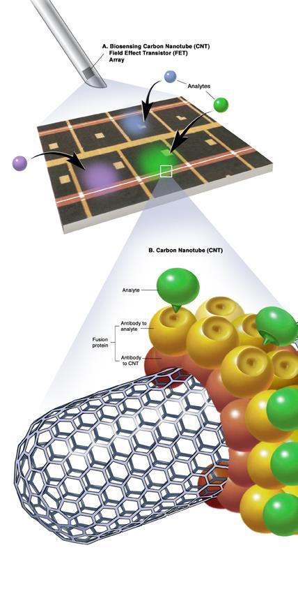 Pioneering New Technologies Nanotechnology New Analytical Skills