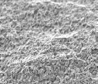Scanning electron microscopy (SEM) revealed that the films cast with acetone had smoother surfaces and smaller pinholes in the cross sections than the films cast with acetone/water. See Figure 5.