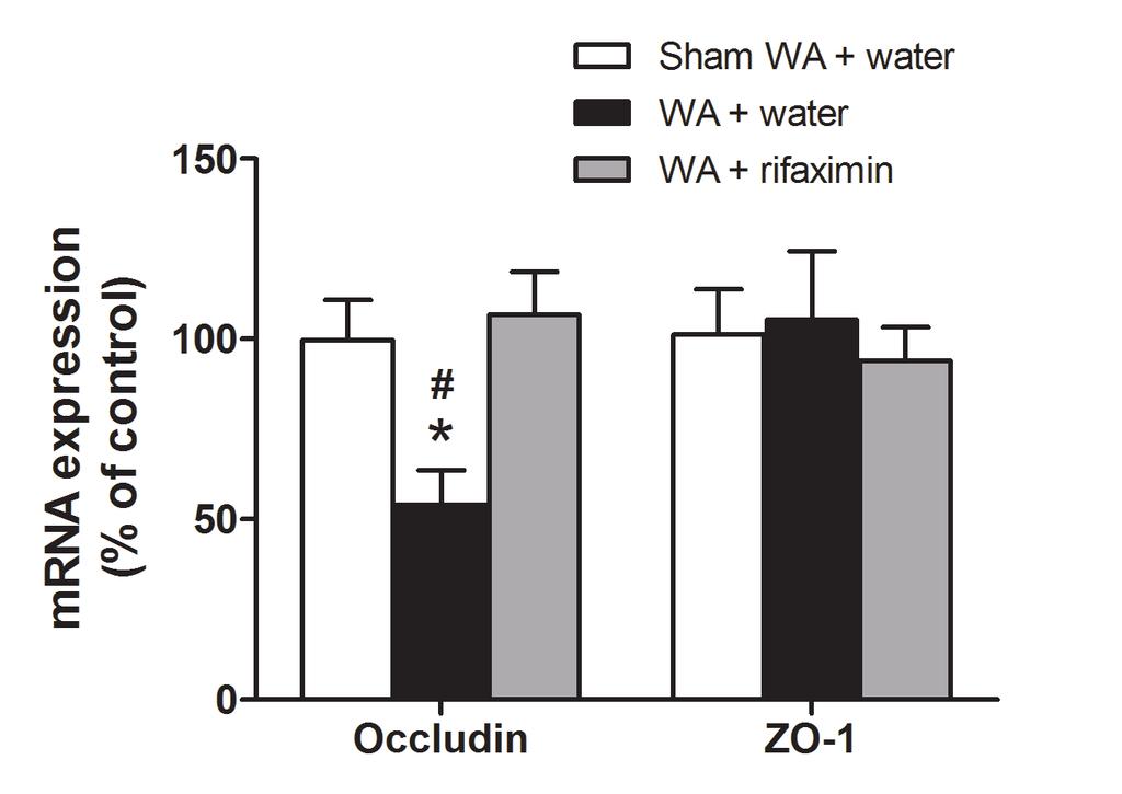 Administration of rifaximin prevents stress-induced inflammation and barrier dysfunction Inflammatory Cytokines