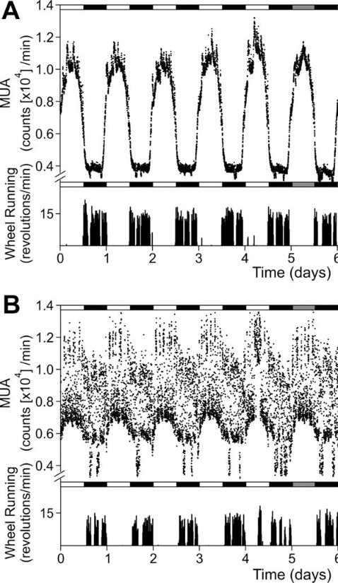 Circadian output declines in aging and AD Mouse SCN -Loss of pineal gland clock gene oscillation and melatonin rhythms in AD