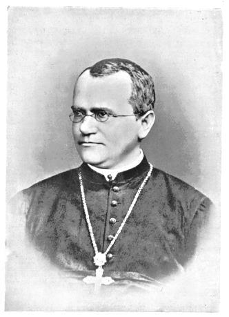 Gregor Mendel (1822-1884) German monk born in 1822 Lived in what is now the Czech Republic Tended the garden at his monastery,