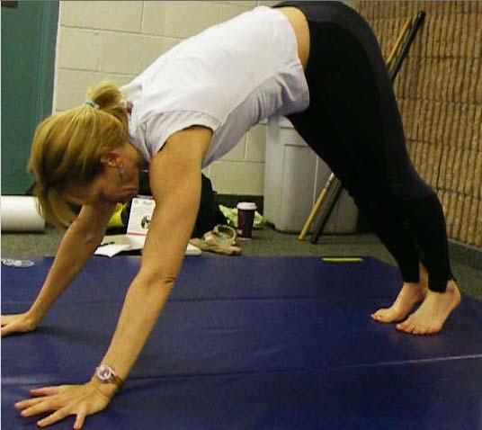 From Downward facing dog, come to all fours and sit back on ankles, releasing hips