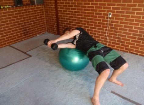 Hold a weight plate / dumbbell above your head and roll to the side until the tip of your shoulder is on the ball.