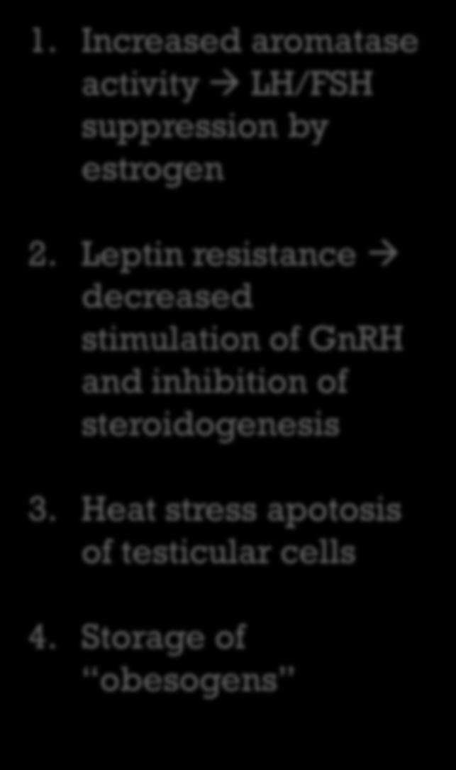 Heat stress apotosis of testicular cells 4. Storage of obesogens Zumoff B et al Obes Res.