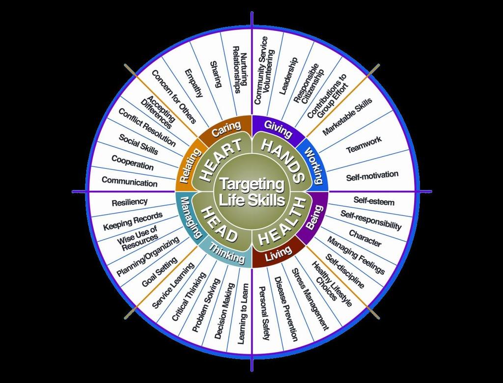 I used one or more of these Life Skills from the Targeting Life Skills Wheel HEAD Example: Decision Making Life Skills Describe the Life Skills you used and what you learned in relation to your
