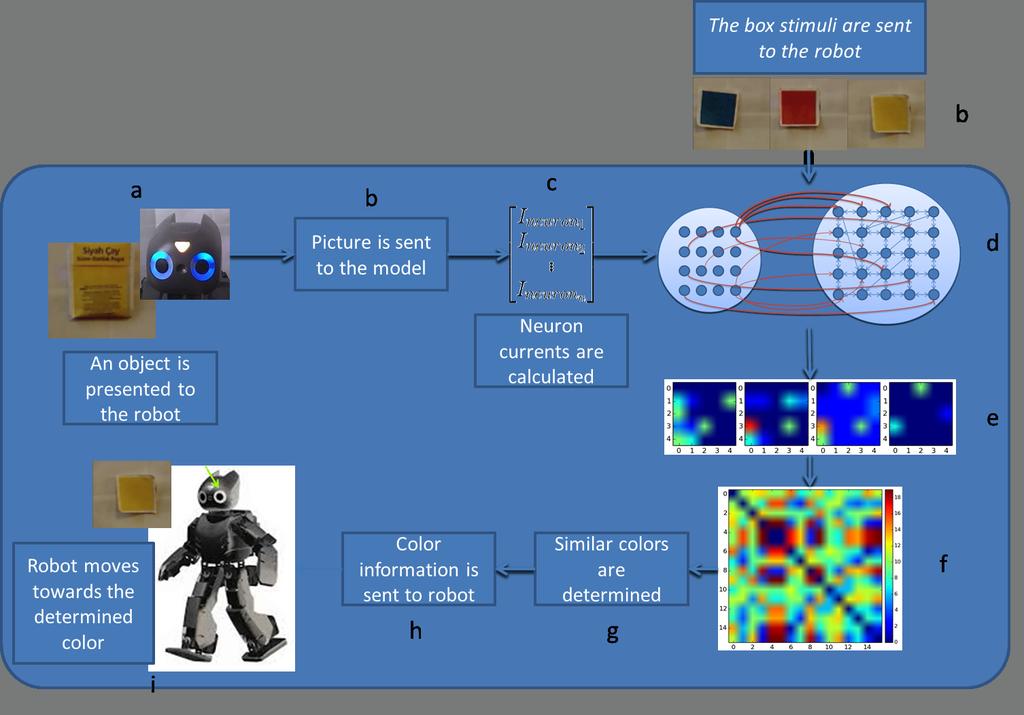 At the beginning the object and the color cards are presented to the robot (Figure 3.1-a). The robot takes the picture of environment and sends the picture to the Python code (Figure 3.