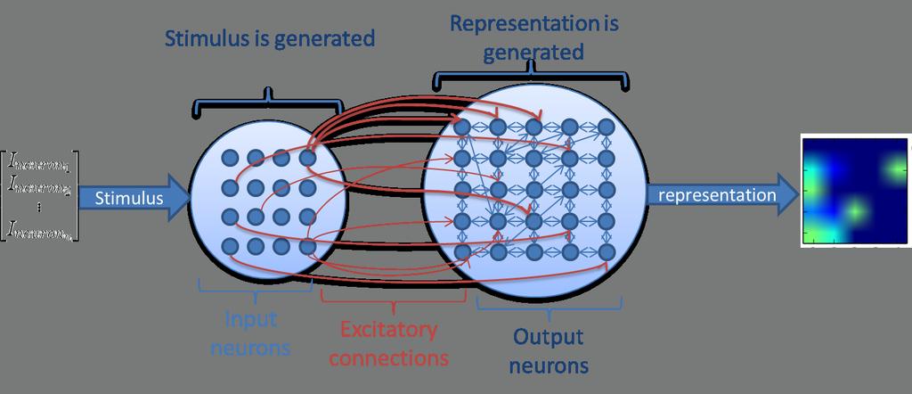 Figure 4.1: The computational model that generate representations. 4 Computational Model The computational model consists of two different kind of spiking neuron groups as seen in Figure 4.1. The group of input neurons is at the left-hand side and the group of the output neurons is at the right-hand side.