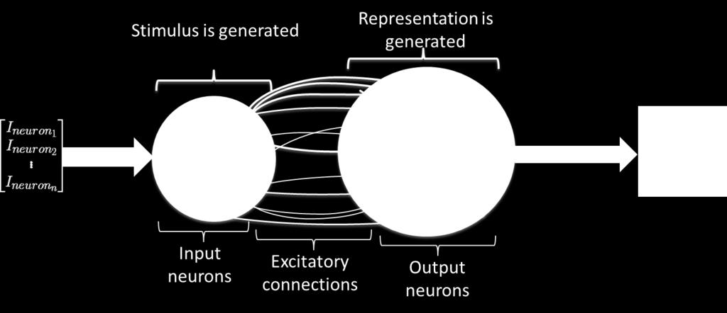 Each neuron has input current to be activated and input neurons are fed by the currents that are calculated using the presented object to the robot.