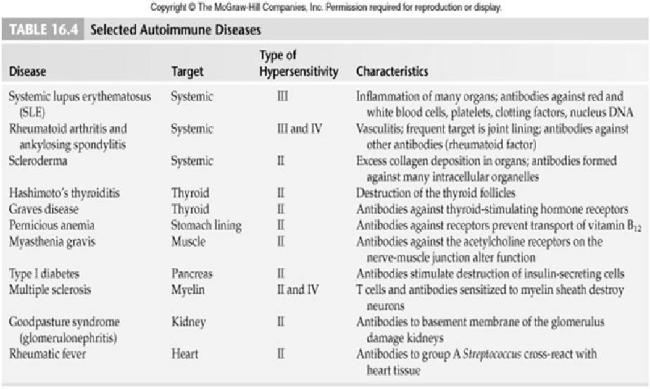 Autoimmunity Antibodies, T cells or both, mount an immune response against self antigens Systemic or organ-specific Type II or III reactions Occurrence Genetic Gender more common in men Age more