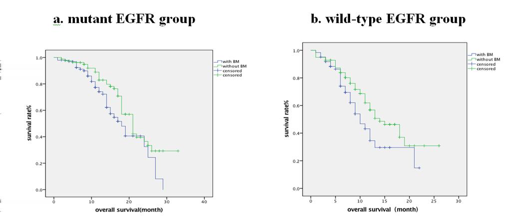 Survival situation of the patients with bone metastasis in the mutant EGFR group and wild-type EGFR group. OS With bone metastasis (month) Without bone metastasis (month) P value Mutant EGFR group 18.