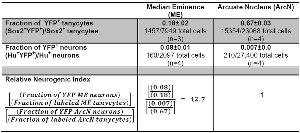 Supplementary Table 2. ME tanycytes are more neurogenic than ArcN tanycytes.