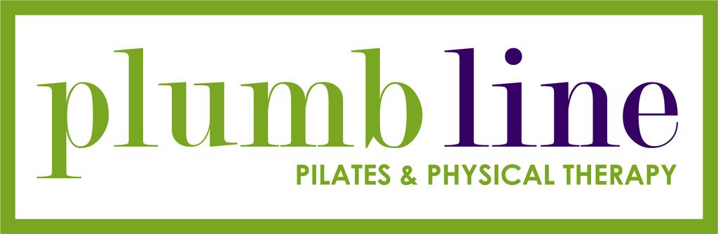 How To Achieve Your Best Plumb Line Created by Allison Oswald DPT, WCS, CPT Doctor of Physical Therapy Women s Certified