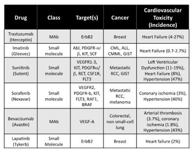 Mean Biopsy Grade 3 2 1 5% * *Risk of CHF n=8 Mackay MDAH Billingham n=18 Stanford n=22 n=8 2 4 41 5 >5 Cumulative Doxorubicin Dose (mg/m2) n=3 n=7 Anthracycline-Induced cardiac damage Stage 1 Injury