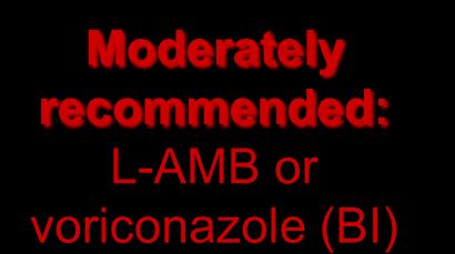 Moderately recommended: L-AMB or