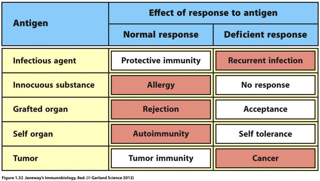 Immune responses can
