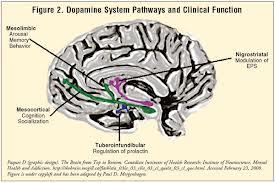 ANTI-PSYCHOTICS AKA major tranquilisers, neuroleptics Mediate effects