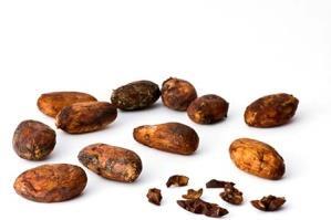 Cacao beans Ghana MOSH 7 mg/kg