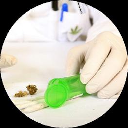 tomorrow. Cannabis growers benefit tremendously from cannabis testing.