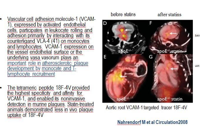 PET CT imaging with the Vascular Cell