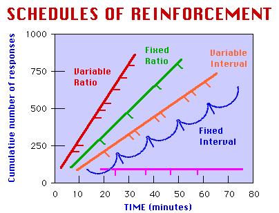 Schedules of Reinforcement Continuous vs Partial