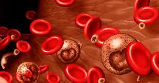 HEMATOLOGICAL AGENTS Blood clotting factors and healthy blood vessel walls are essential components to balanced blood coagulation.