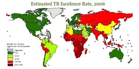 Global burden of tuberculosis (TB) 1/3 of the population of the world have been infected
