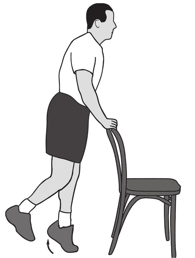 6. Calf Raises 2 sets of 10 6 to 7 Main muscles worked: Gastrocnemius-soleus complex You should feel this exercise in your calf Equipment needed: Chair for support Stand with your weight evenly