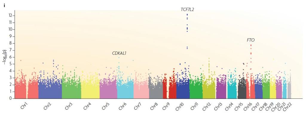 Context: genome-wide association studies (GWAS) Box 2, i of [4]: an example from the type 2 diabetes component of the Welcome Trust Case Control Consortium