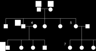 This pedigree chart shows the inheritance of sickle cell anemia in three generations of a family. In a pedigree chart, males are symbolized by a square ( ) and females are symbolized by a circle ( ).
