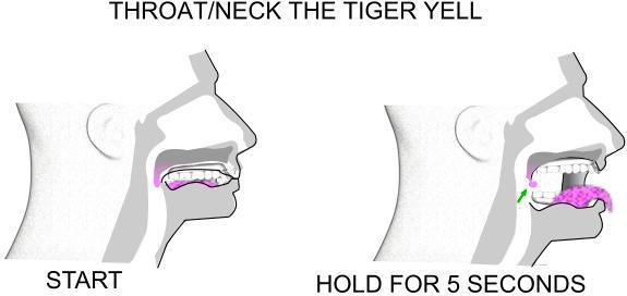 Sample Throat Exercise: Tiger Yell The action for this exercise requires you to open your mouth wide, which mimics the facial features of a tiger about to yell or roar.