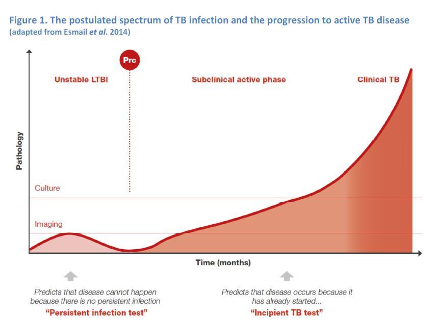 LTBI test concept: persistent infection and incipient TB Persistent