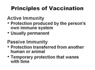 However, an understanding of the basic function of the immune system is useful in order to understand both how vaccines work and the basis of recommendations for their use.