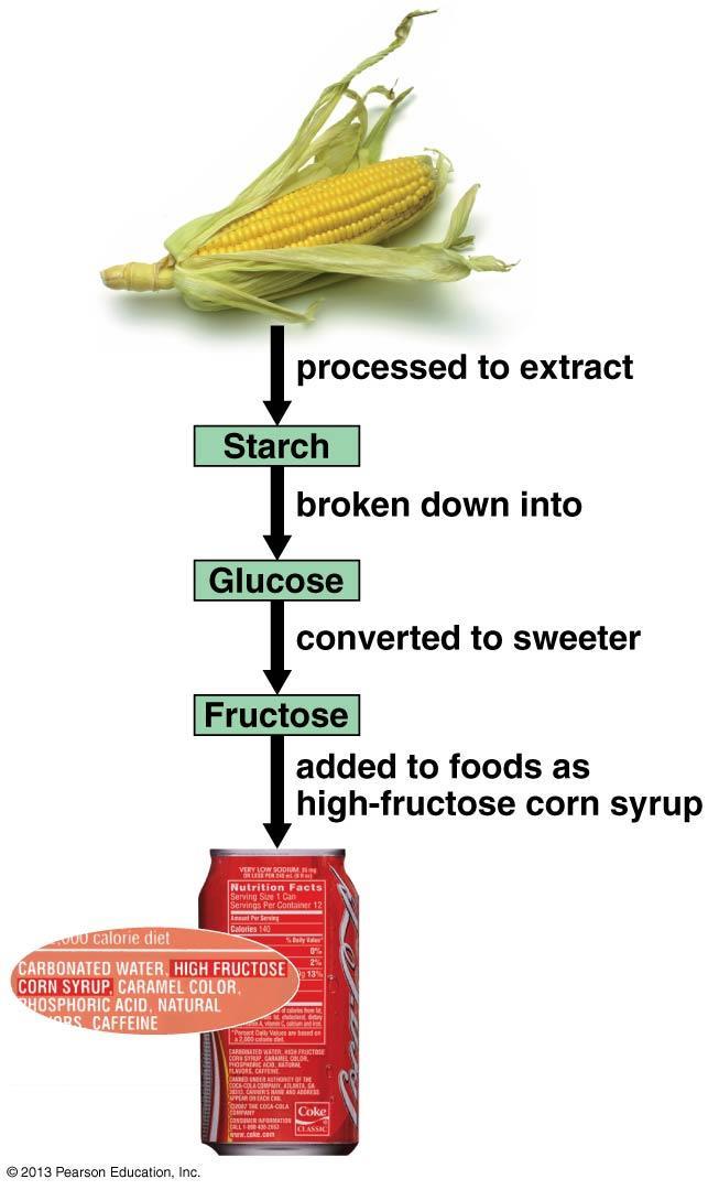 Disaccharides Sucrose the main carbohydrate in plant sap rarely used as a sweetener in processed foods in the United States.