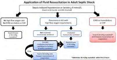Fluid overload in patients with severe sepsis and septic shock