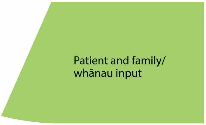 Acknowledge that the patient and family/whānau will most likely know more about the problem of falling, therefore ask