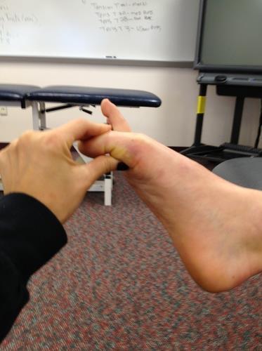 Passive physiological first MTP flexion movements or sustained holds is recorded.